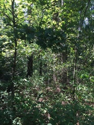 Lot 8 Leona Dr, Bella Vista, AR 72715 - photo 1