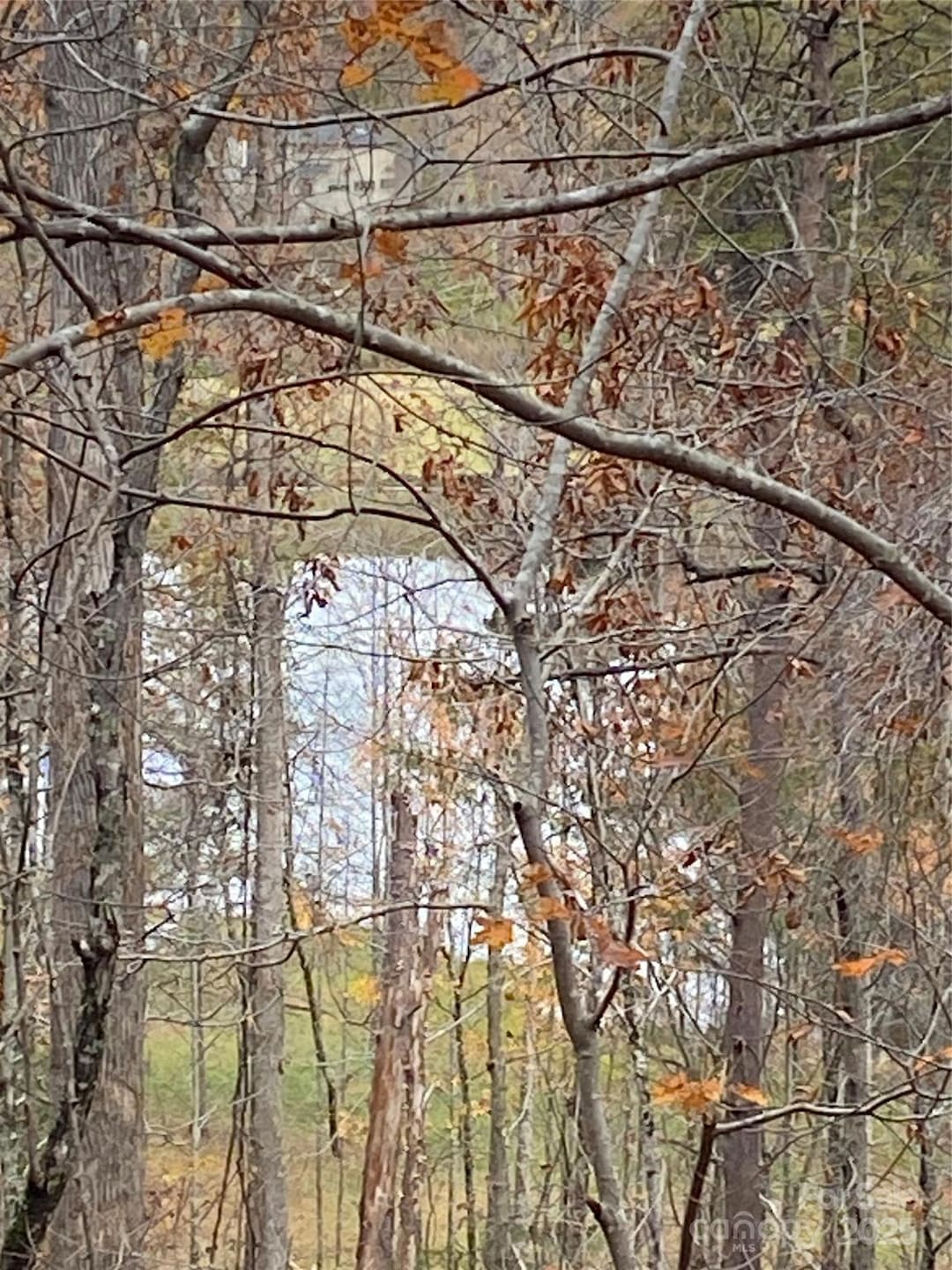 0000 Raleigh Dr unit 8 & 9, Lake Lure, NC 28746 - photo 1