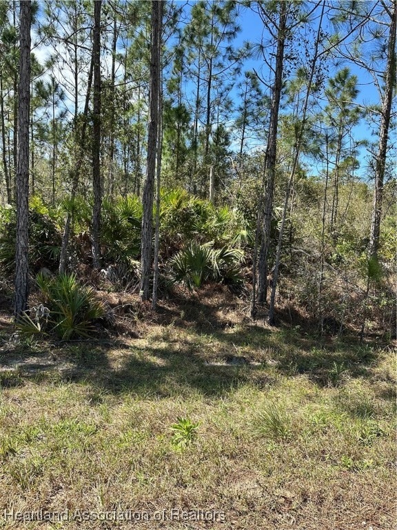 628 Barclay St, Lake Placid, FL 33852 - photo 1