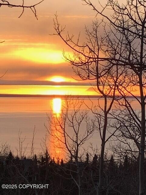 000 Bulgaria Dr, Anchorage, AK 99516 - photo 1