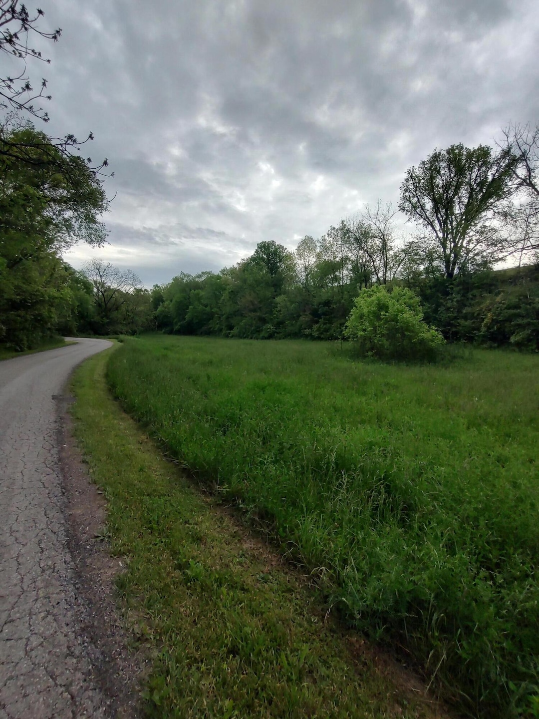 IMG_20250512_084502090_HDR