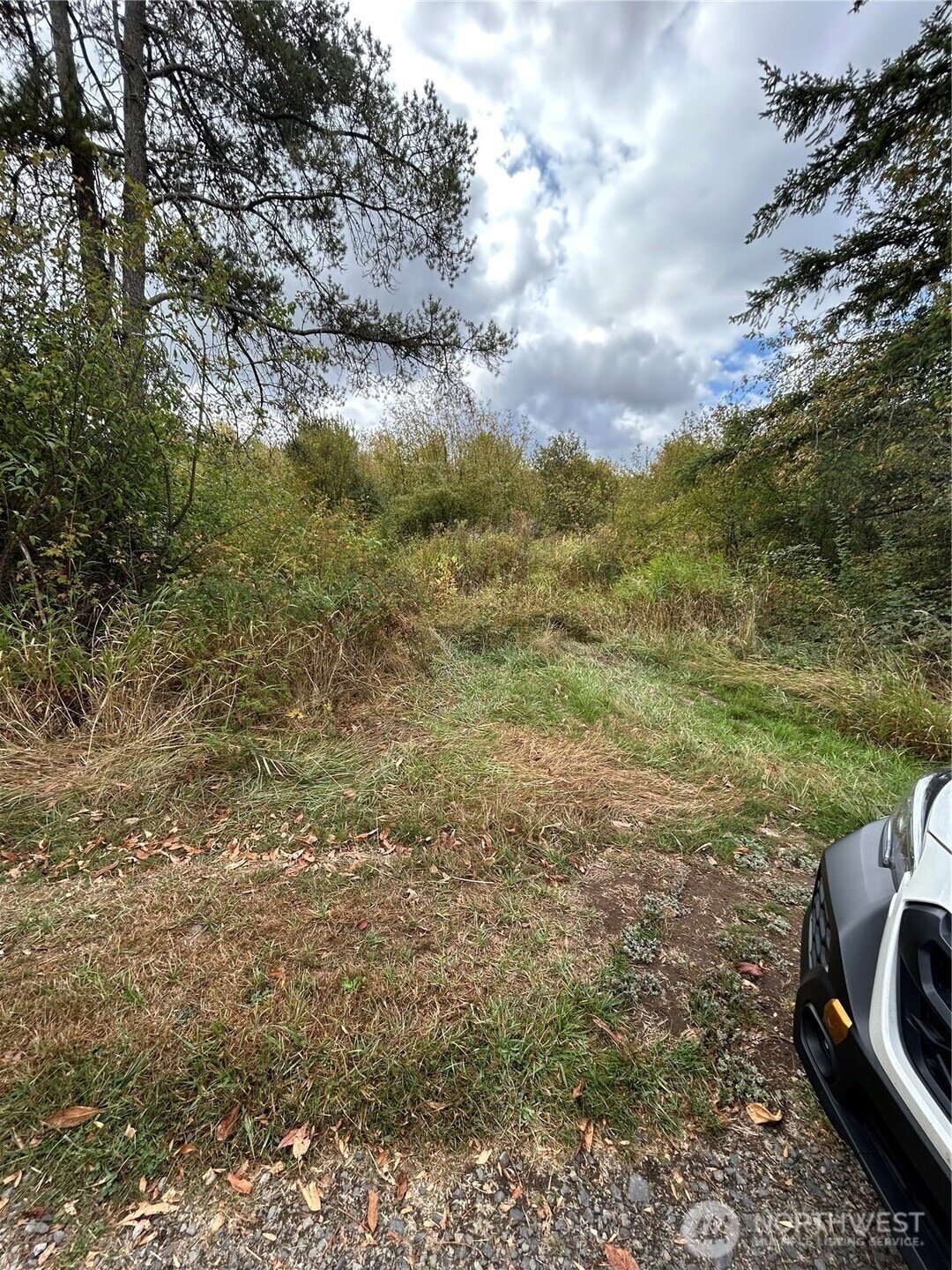 0 Nicholson Rd unit NWM2416744, Toledo, WA 98591 - photo 1