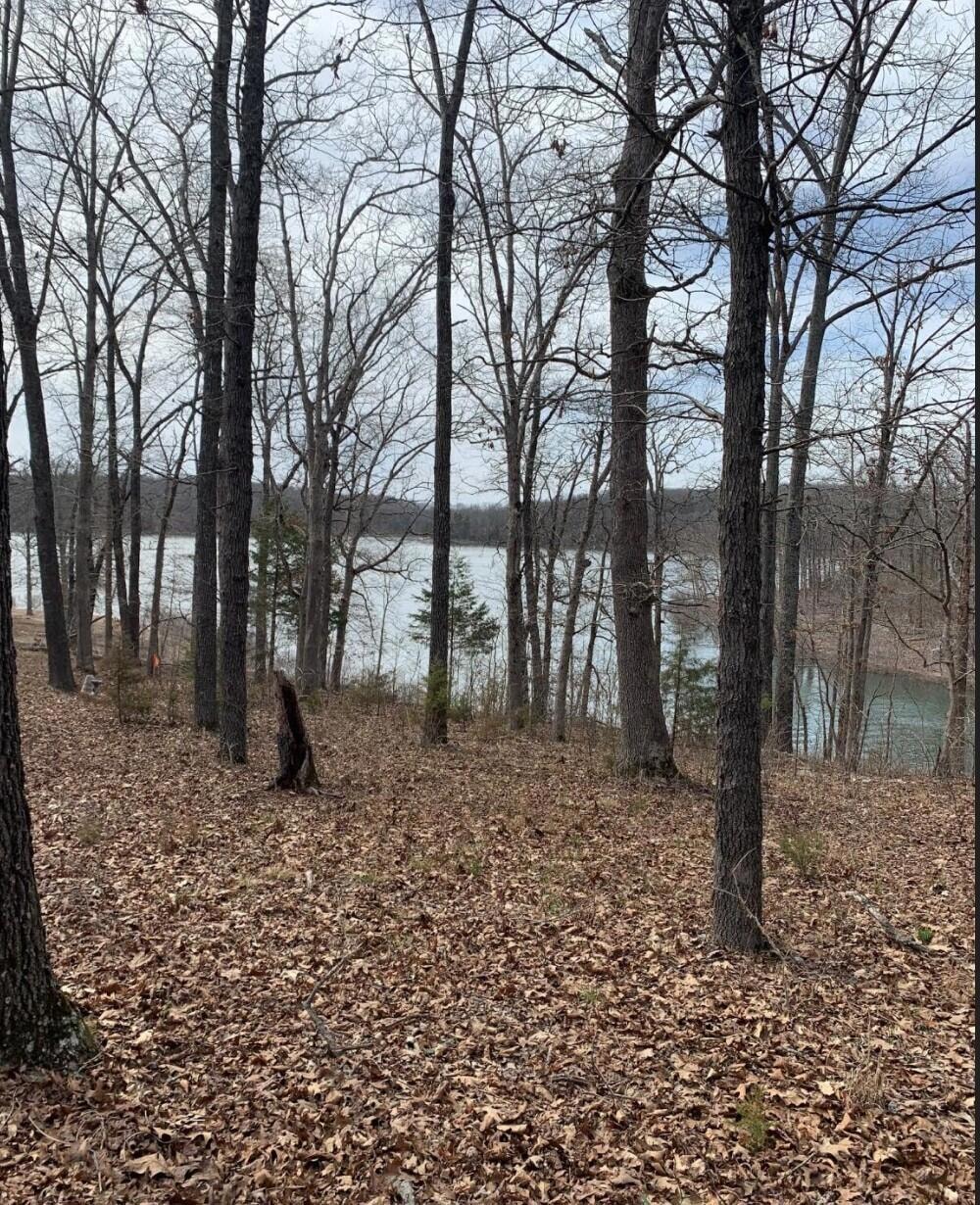 Tbd Tract 6 Sans Souci Dr, Shell Knob, MO 65747 - photo 1