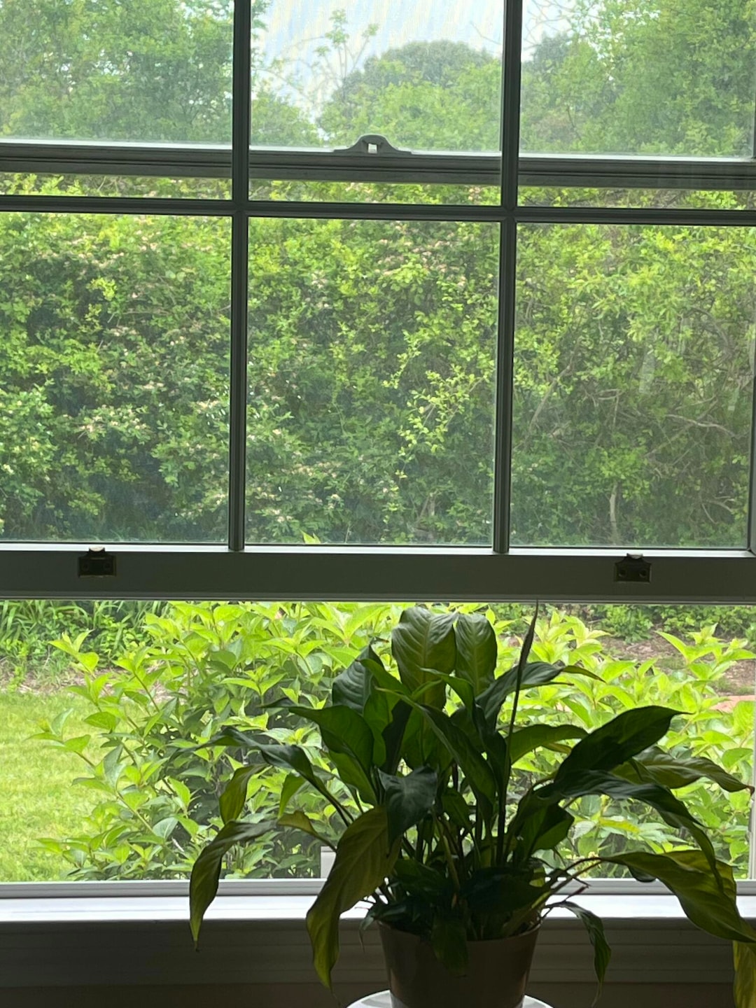 wind window 2