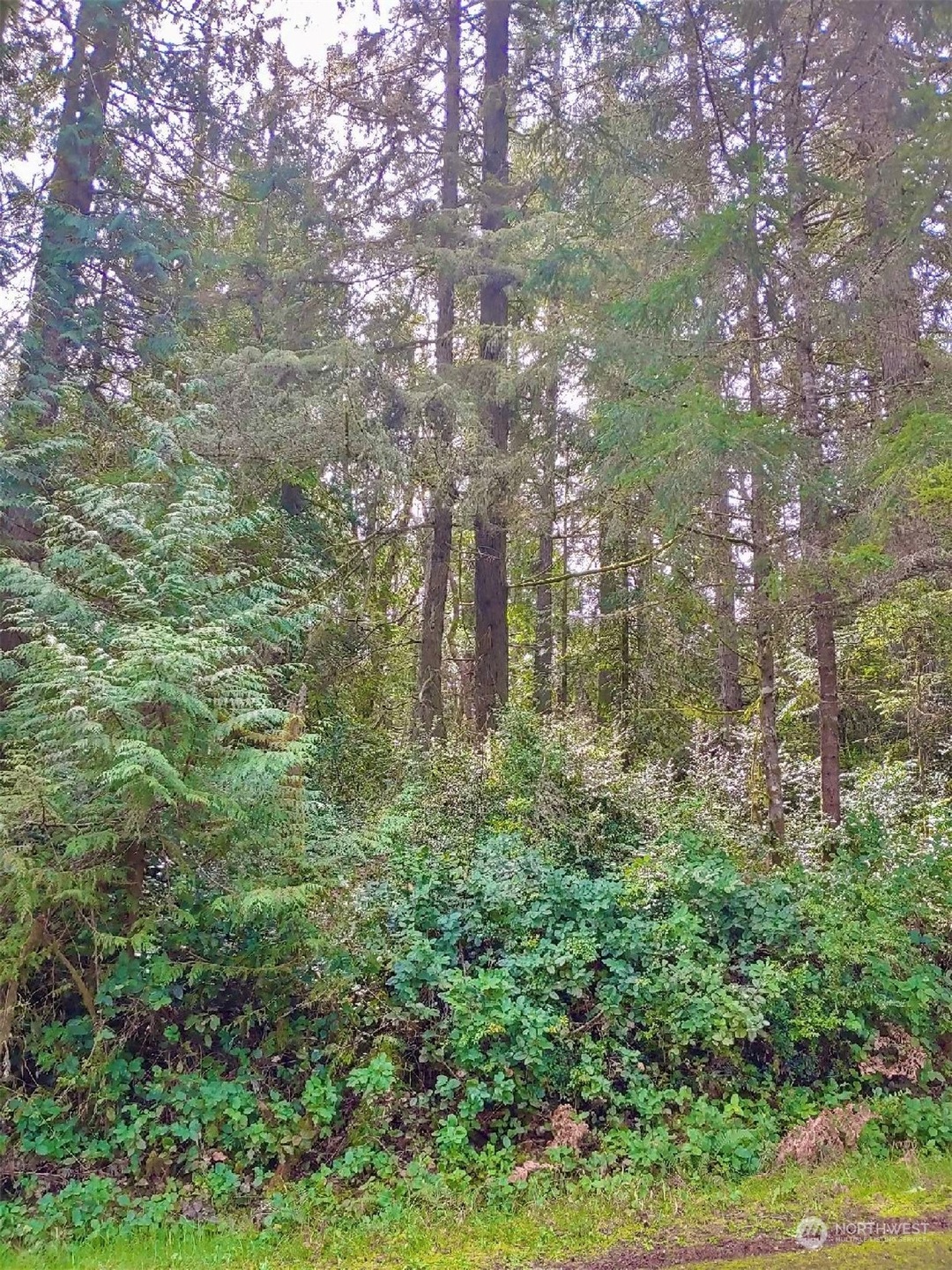 11018 Admiralty Way, Anderson Island, WA 98303 - photo 1