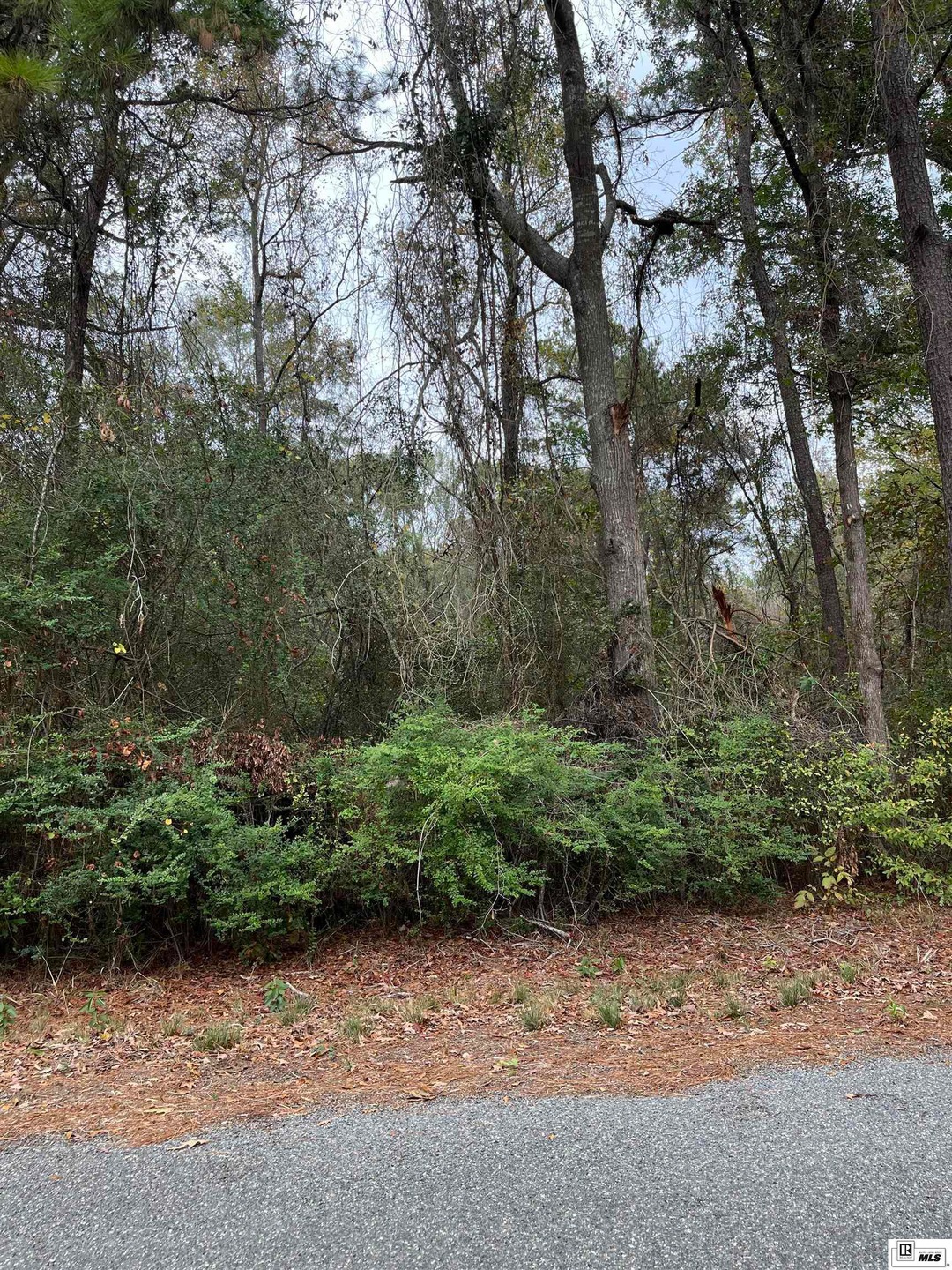 0 Shadow Rd, Ruston, LA 71270 - photo 1