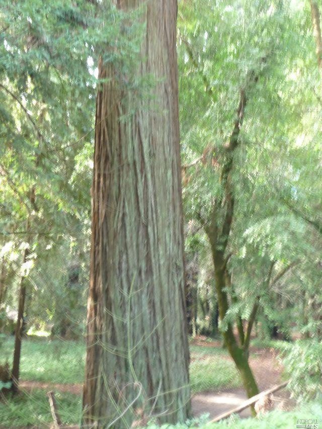 8800 Highway 128, Philo, CA 95466 - photo 1