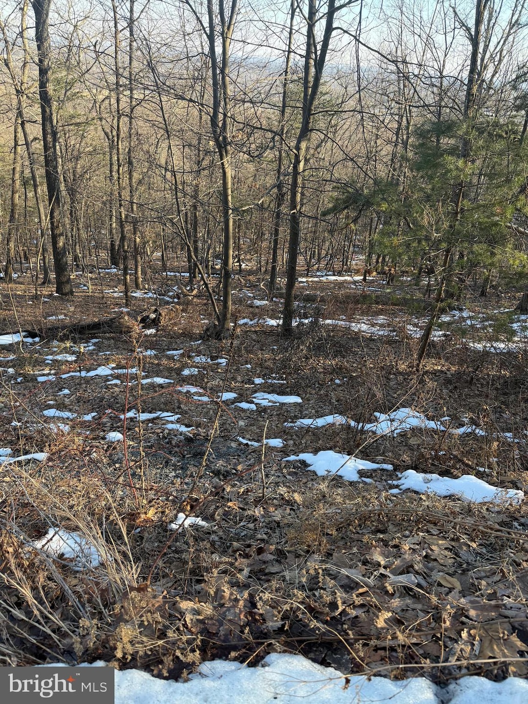 16253 Sumney Dr, Haymarket, VA 20169 - photo 1