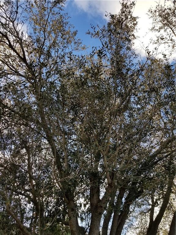 273 Jack Weisser Blvd, Other City - Not In the State of Florida, FL 33852 - photo 1