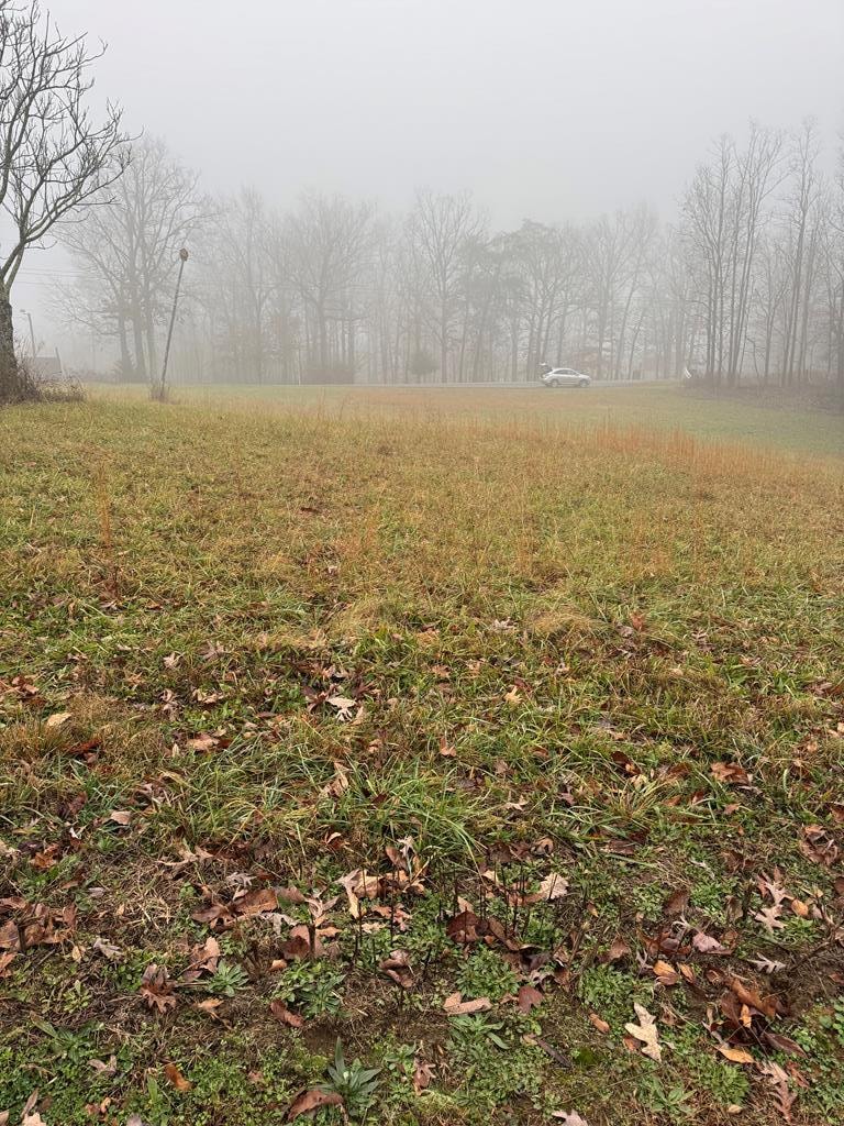 1479 Bee Rock Rd, Monterey, TN 38574 - photo 1