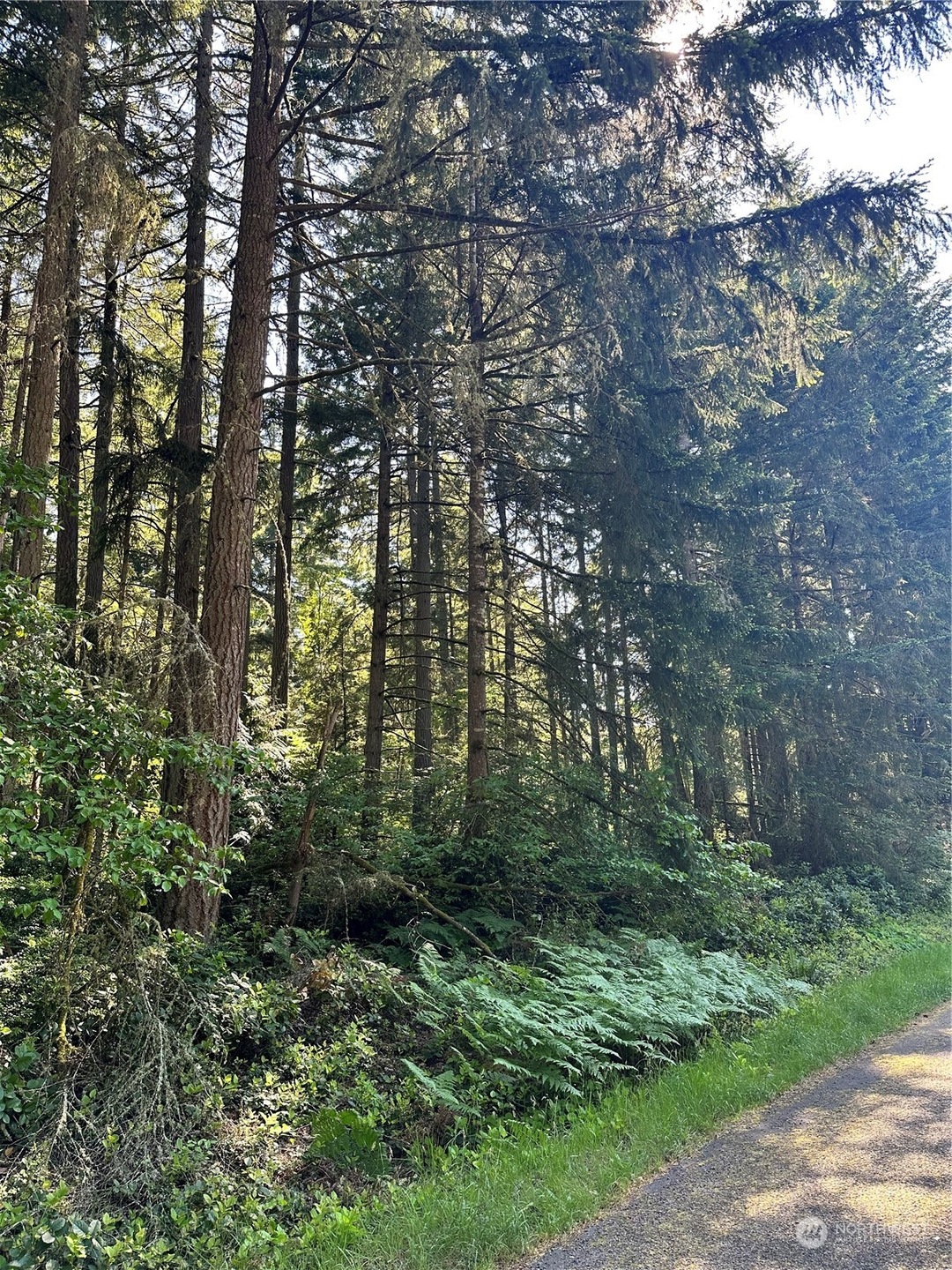 9313 Kootenai Dr, Anderson Island, WA 98303 - photo 1