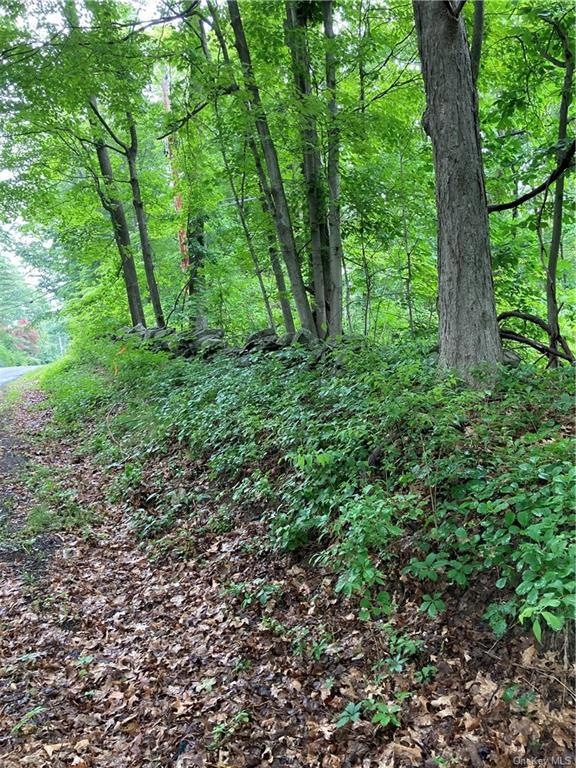 0 Stormville Mountain Rd unit ONEH6256494, East Fishkill, NY 12582 - photo 1
