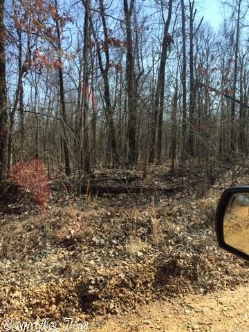 40 Acres County Road 766, Jonesboro, AR 72401 - photo 1