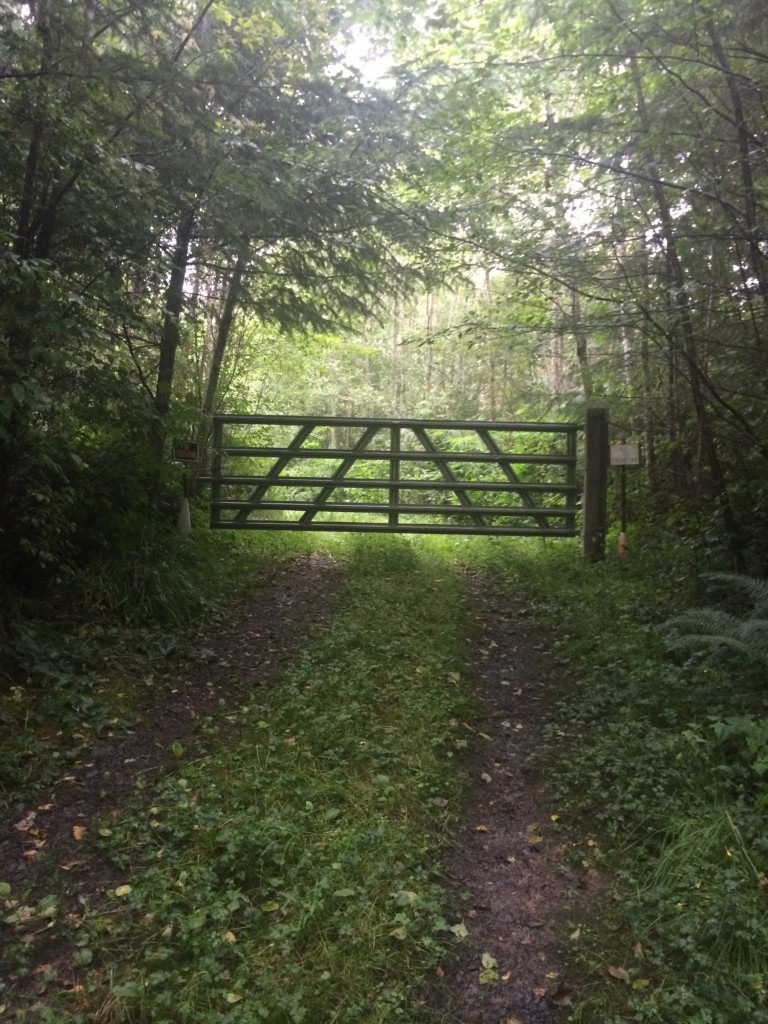 123 Center Rd, Quilcene, WA 98376 - photo 1