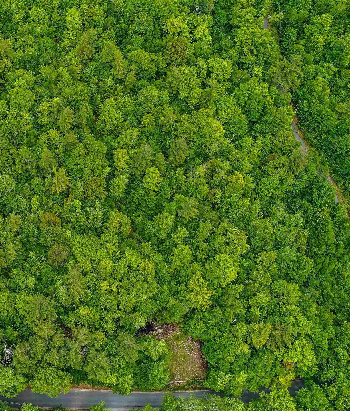 304 Old Post Rd unit Lot 3, Newbury, NH 03255 - photo 1