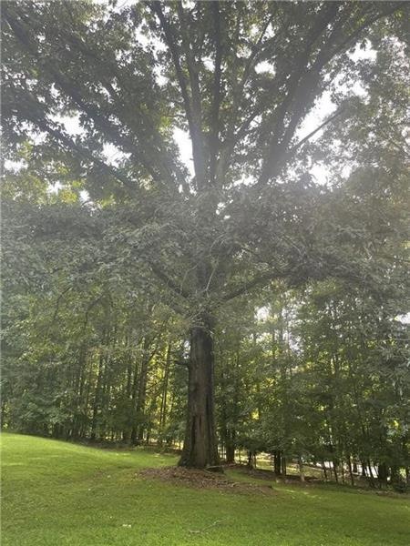 2250 Dinsmore Rd, Alpharetta, GA 30004 - photo 1