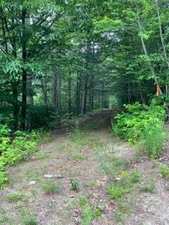 0 Mustang Valley unit 1571407, Freeport, ME 04032 - photo 1