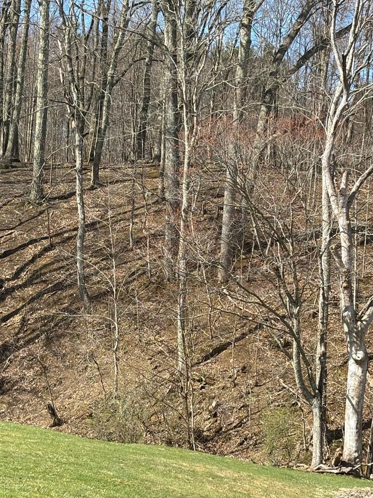 For Sale $79,900 • Co-Listing Agent