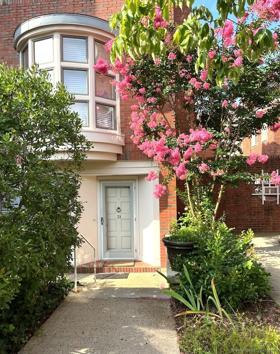 31 Temple Ct, New Haven, CT 06511 - photo 1