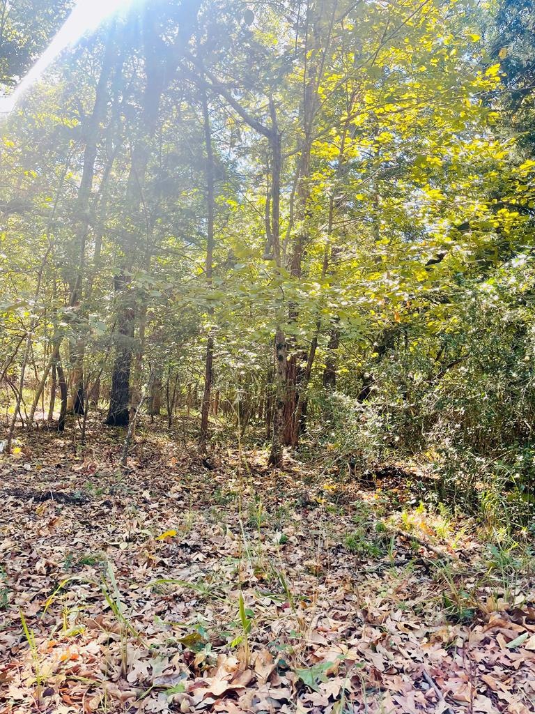 TBD#3 Cr 751, Nacogdoches, TX 75964 - photo 1