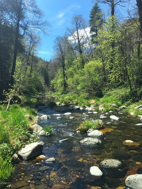 4 - 9725 Creek Landing