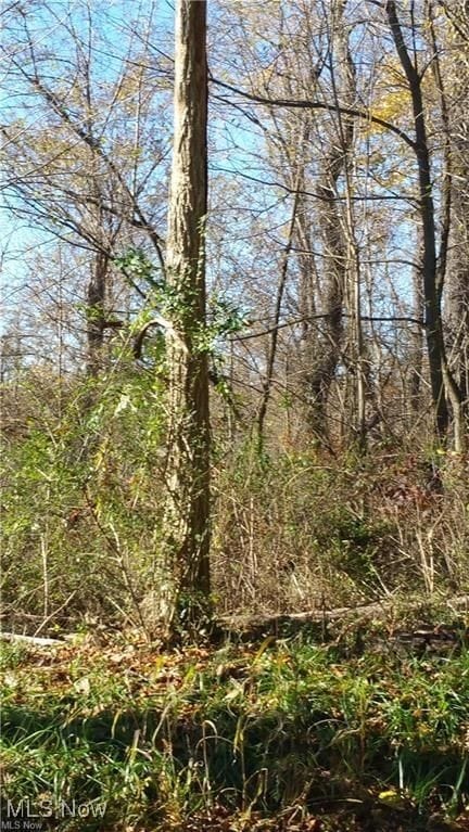 0 Watson Rd unit 5068291, St. Clairsville, OH 43950 - photo 1