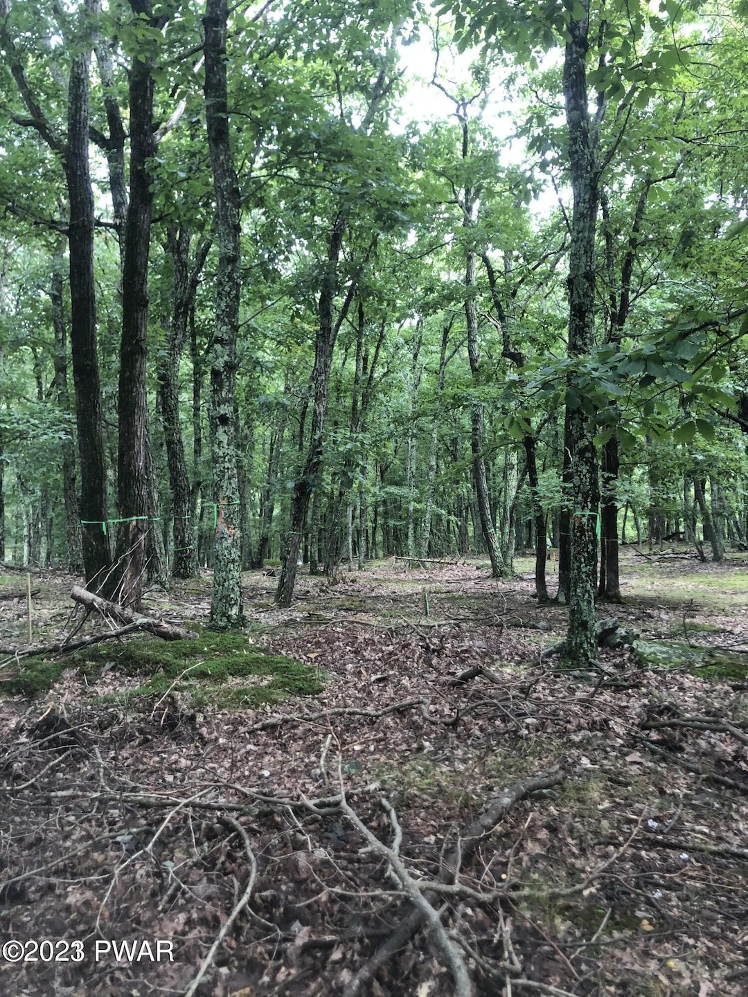 187 Deer Trail photo