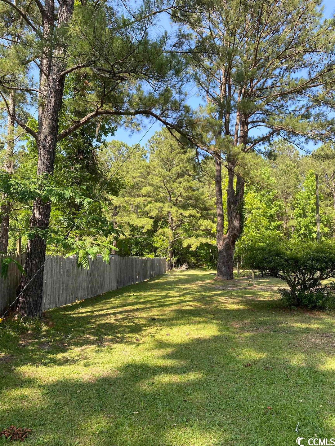 TBD Silver Moon Ct unit 1.22+/- Acres, Conway, SC 29526 - photo 1