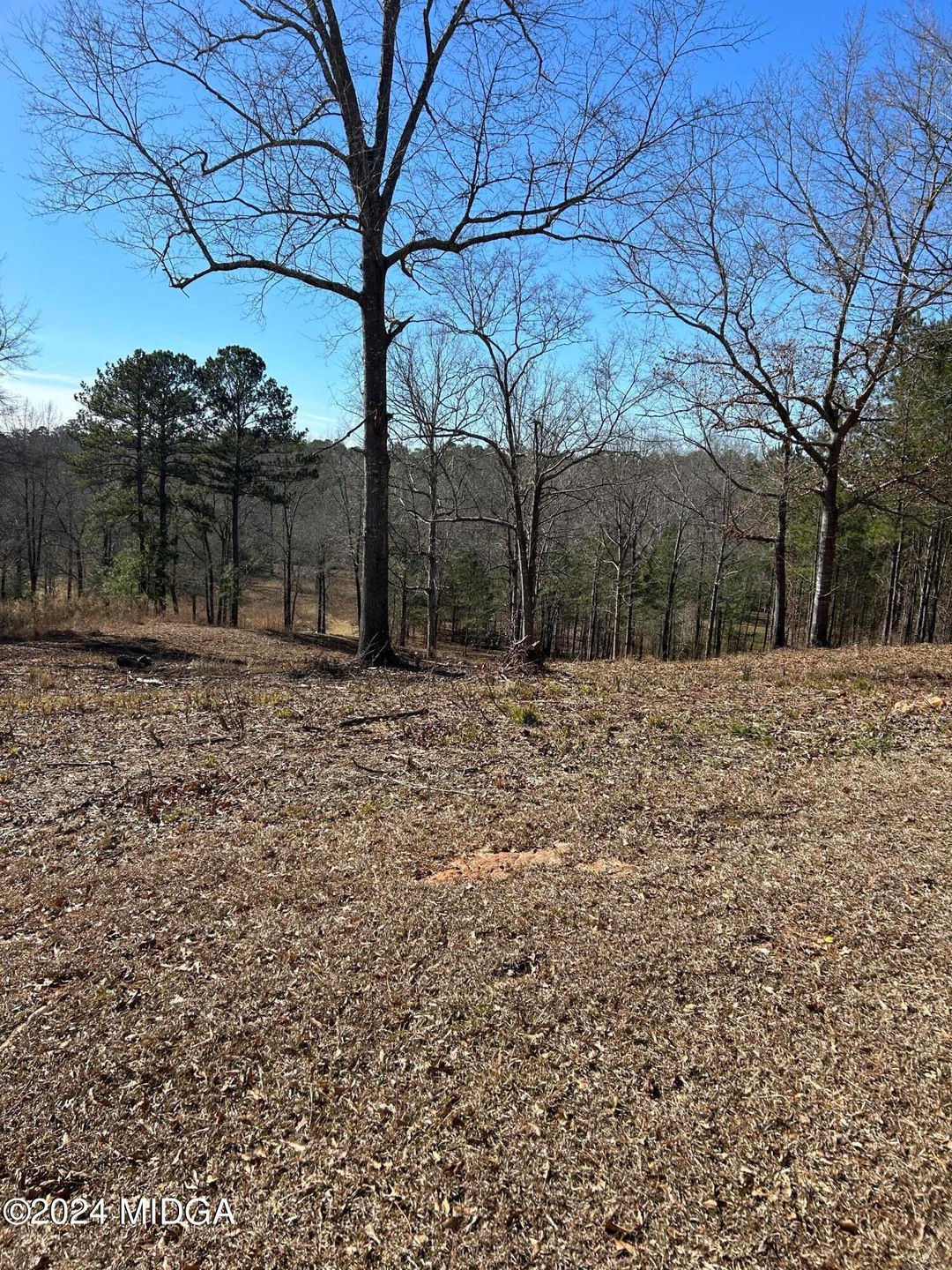 0 Tumbling Shoals Ct unit LOT 19 173425, Gray, GA 31032 - photo 1