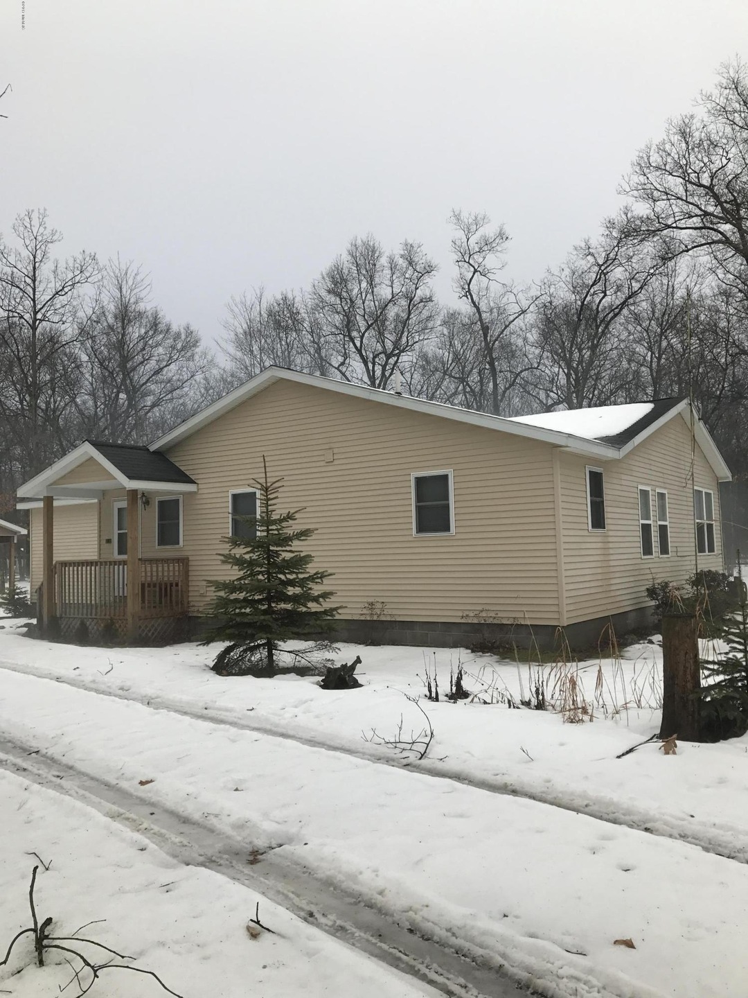 8888 17th Ave, Bitely, MI 49309 - photo 1