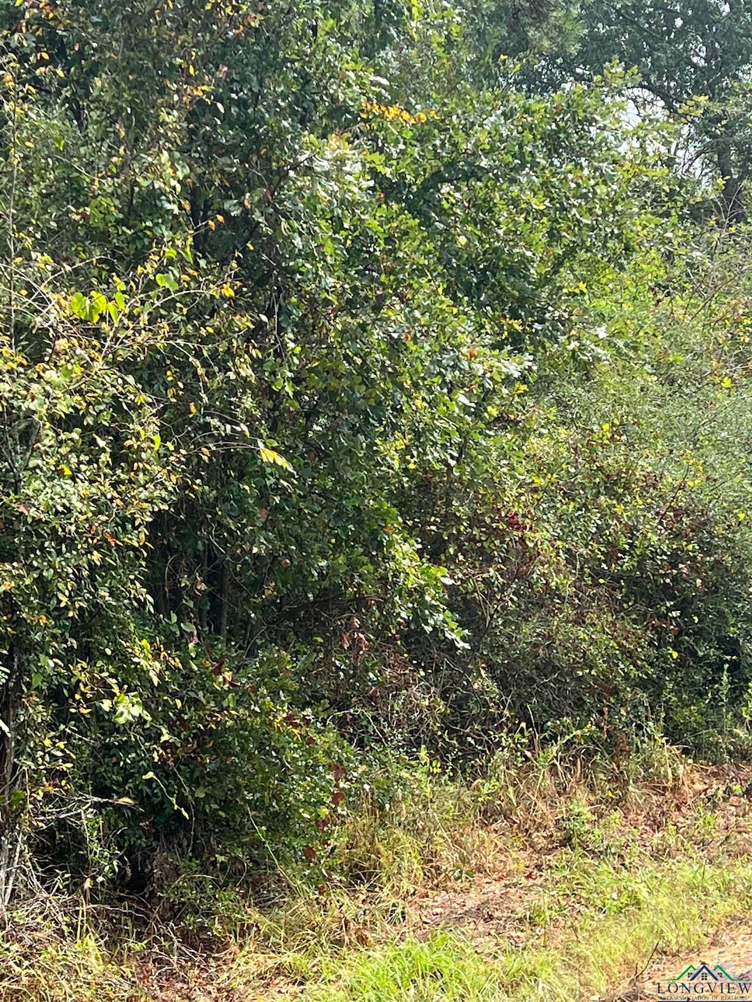 View of landscape
