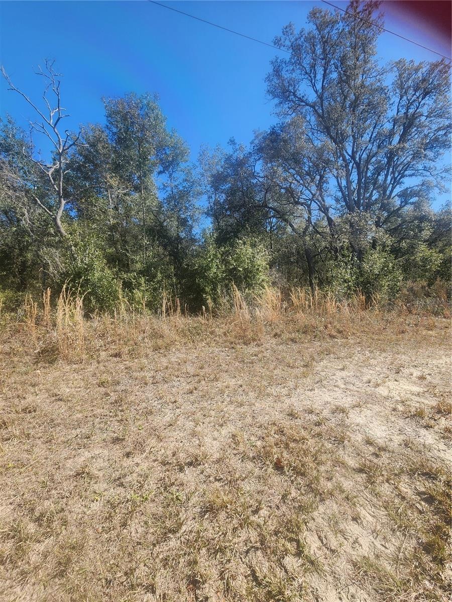 9019 N Elkcam Blvd, Dunnellon, FL 34433 - photo 1