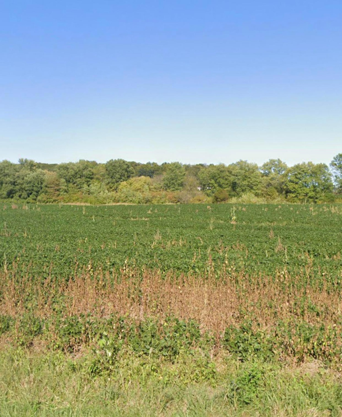 0 Jacksontown Rd, Thornville, OH 43076 - photo 1