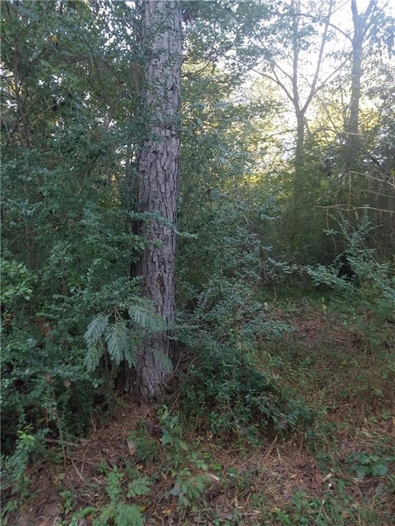 2986 Freemans Mill Rd, Dacula, GA 30019 - photo 1