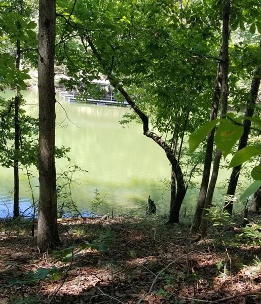 Lake View/ Access
