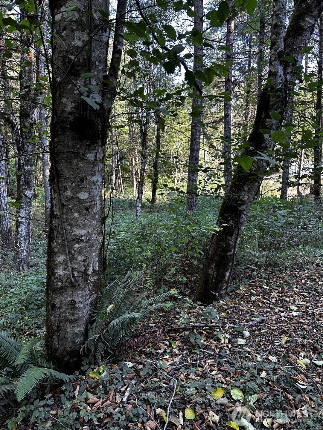 14413 109th St SW, Gig Harbor, WA 98329 - photo 1