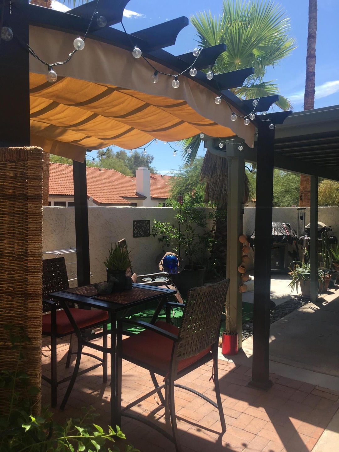 Back yard