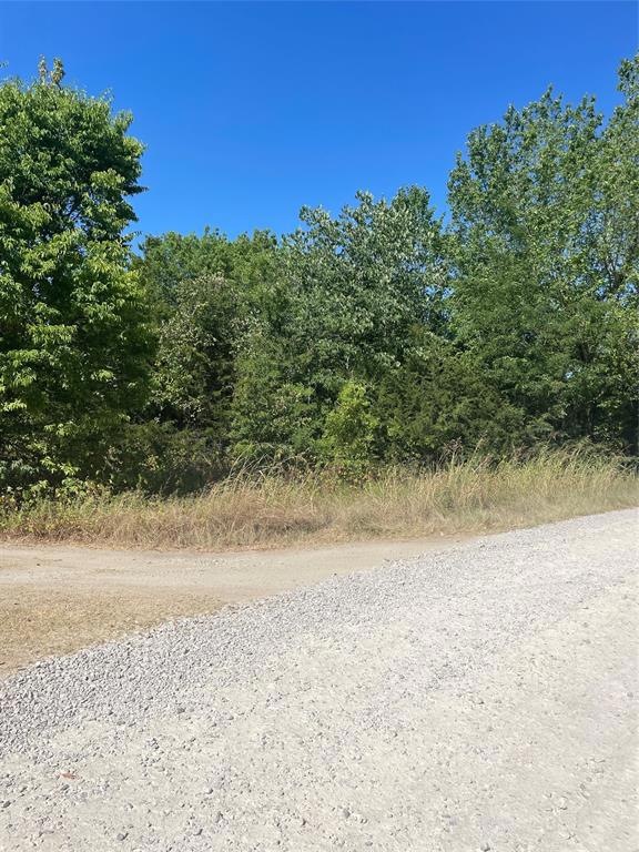 TBD SE Cr 3048d, Corsicana, TX 75109 - photo 1