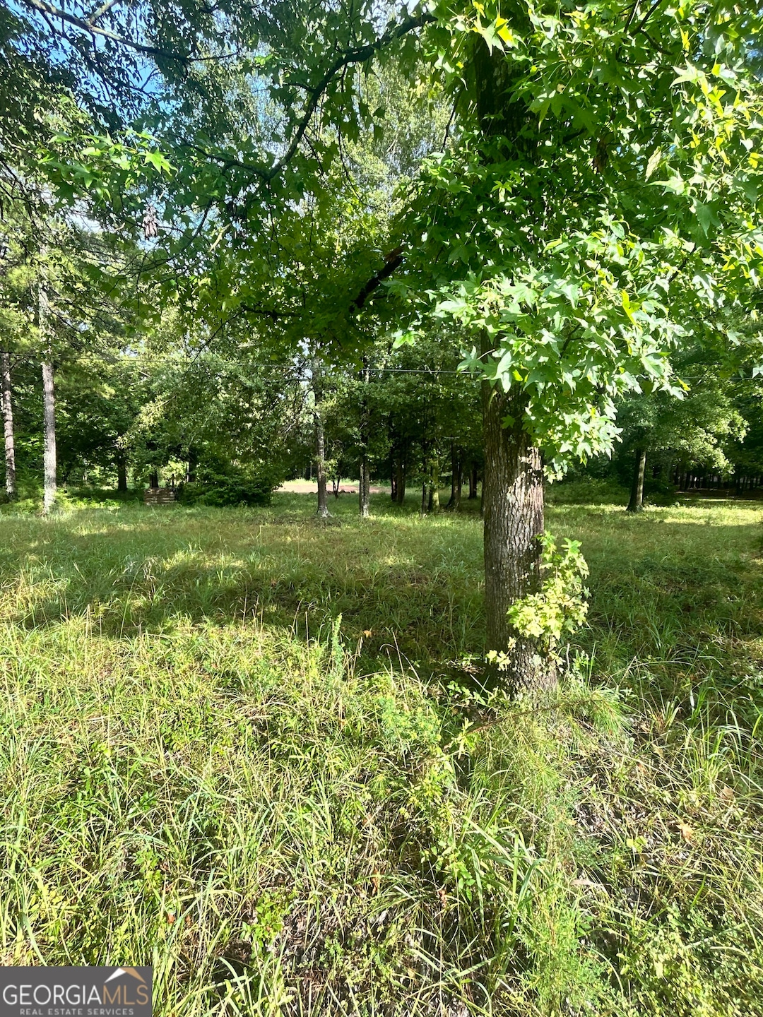 1040 Perryman Rd, Buckhead, GA 30625 - photo 1