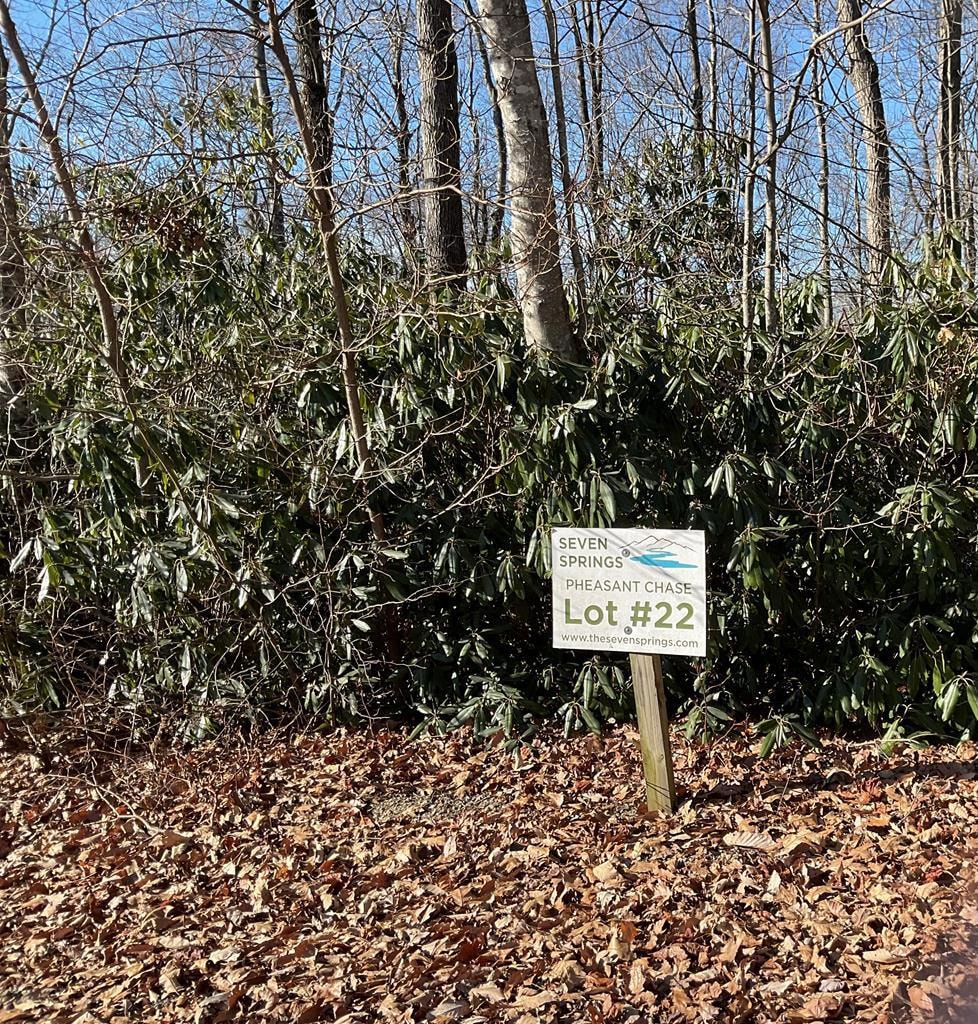 TBD W Pheasant Chase, Fancy Gap, VA 24053 - photo 1