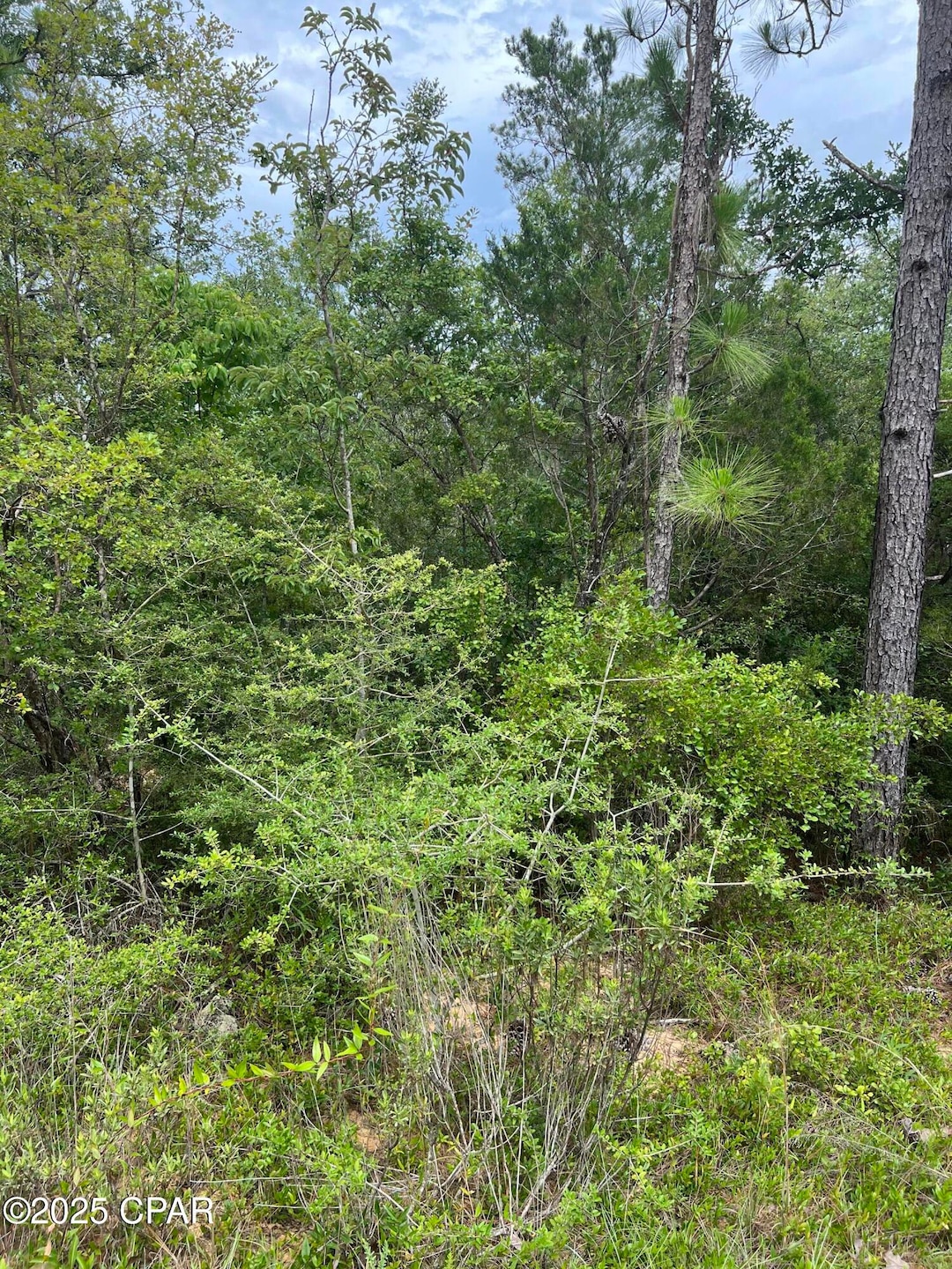 Pending $10,000 • Co-Listing Agent