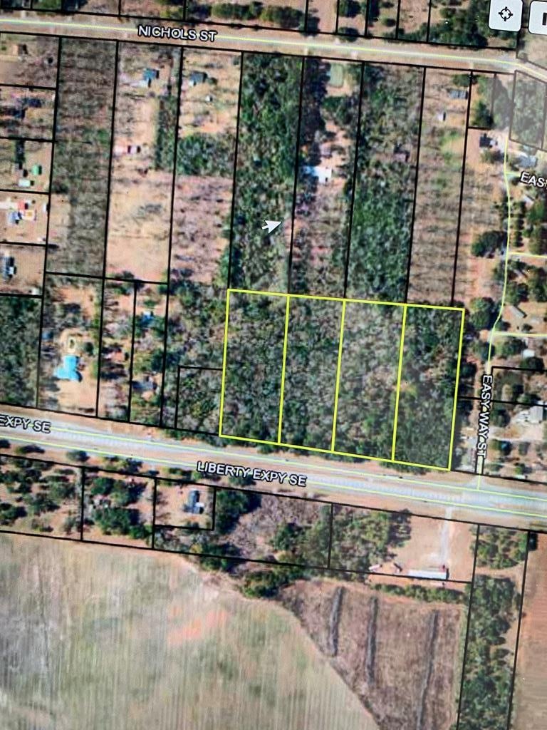 1905 Liberty Expy SE, Bridgeboro, GA 31705 - photo 1