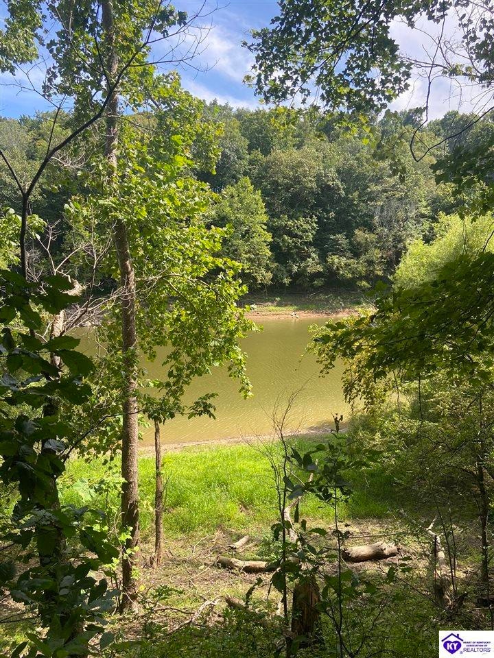 992 J M Mercer Campsite Rd unit Lots 12 & 13, Hudson, KY 40145 - photo 1