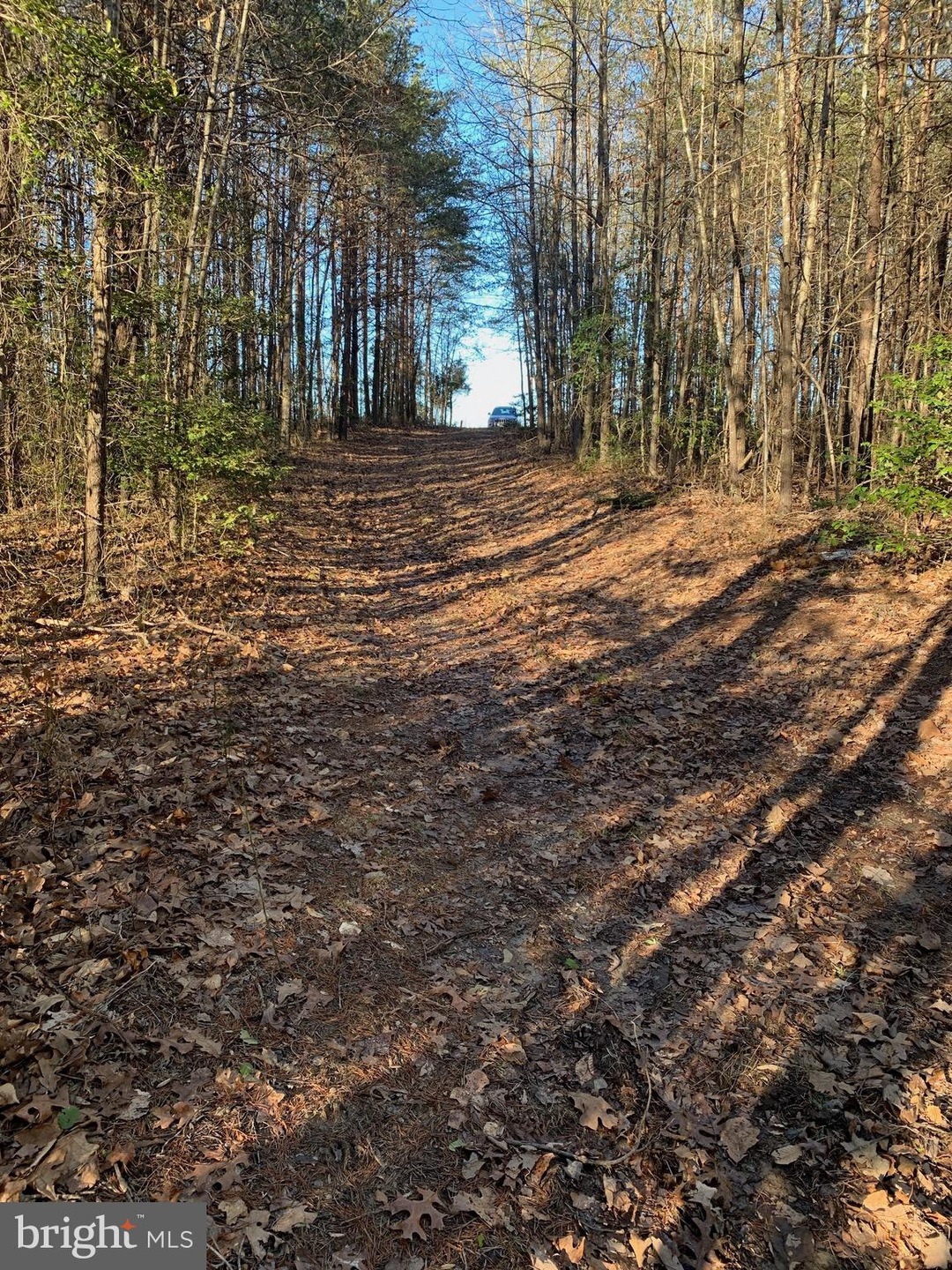 0 Tatum Rd unit VAOR138972, Unionville, VA 22567 - photo 1