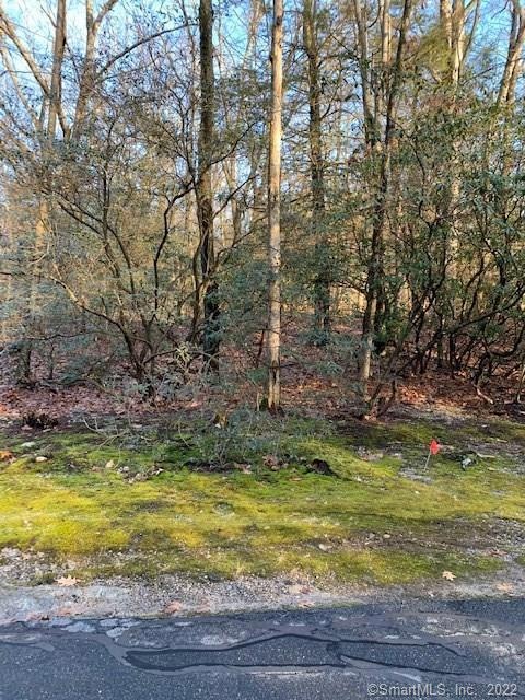 00 S Shore Dr, Harwinton, CT 06791 - photo 1