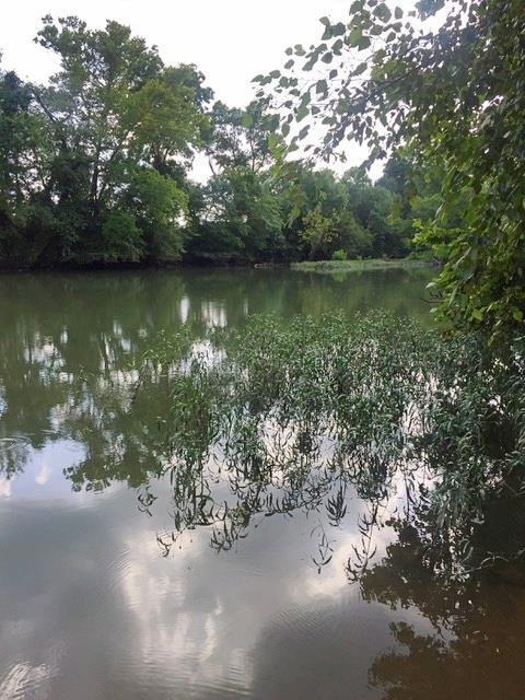 0 Dailey Loop unit RTC1839487, Linden, TN 37096 - photo 1