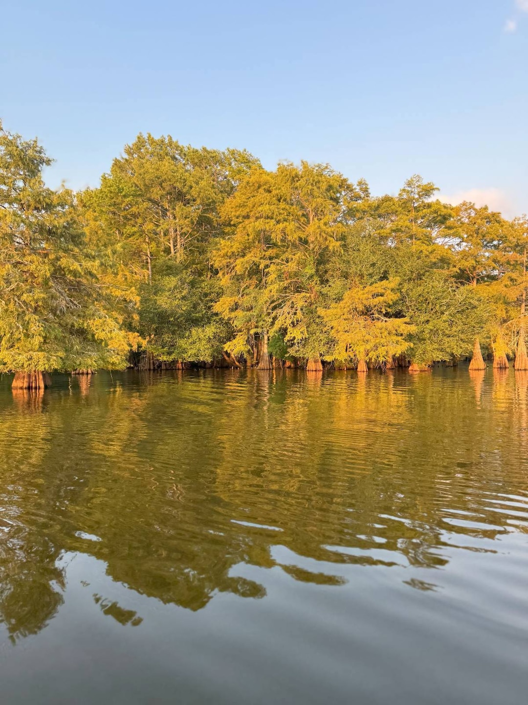 0 Timberland unit 11542662, Many, LA 71449 - photo 1