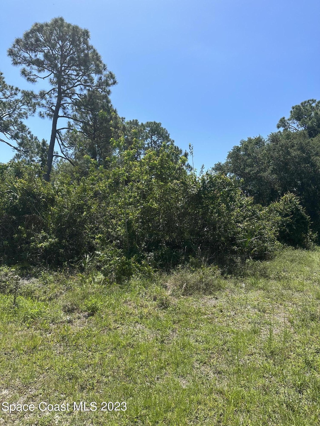 8599CECA-1240-4397-AC84-5FBF0623C938