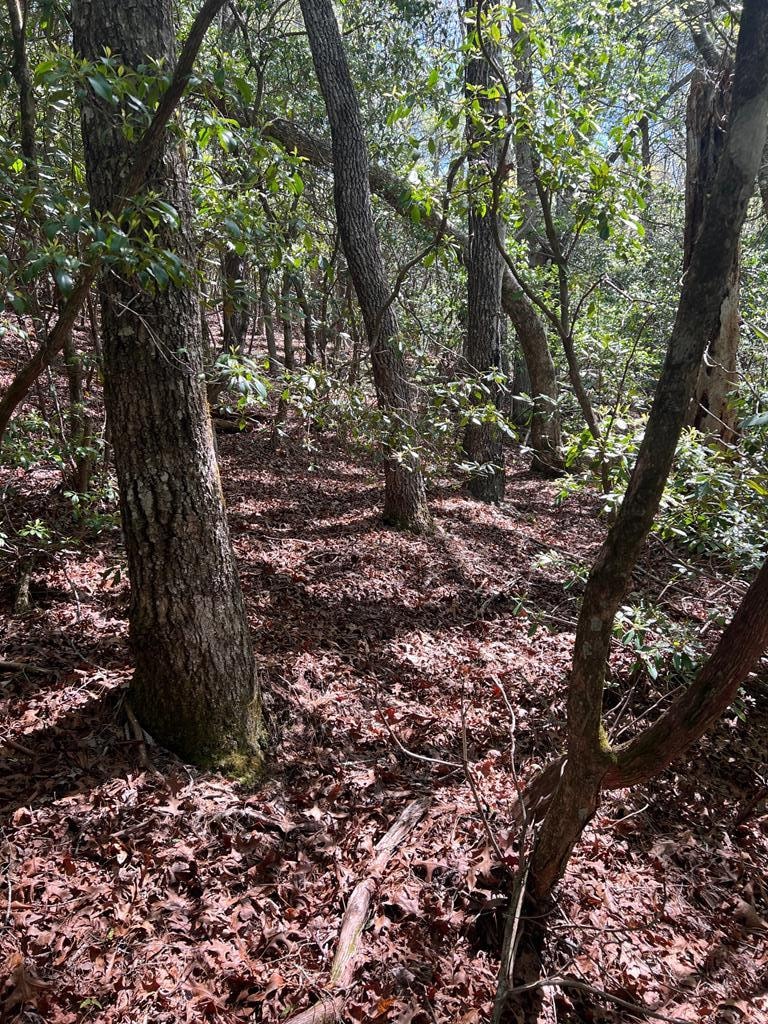 Lot 1 Highlands Pass, Franklin, NC 28734 - photo 1