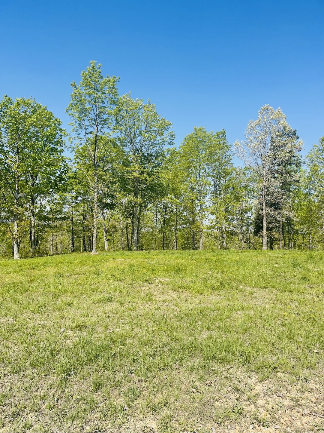 0 Saddlebrook Dr, Hohenwald, TN 38462 - photo 1